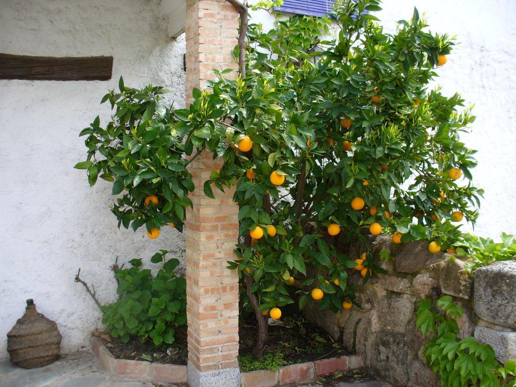 Hotel Labranza San Martín de Valdeiglesias Esterno foto